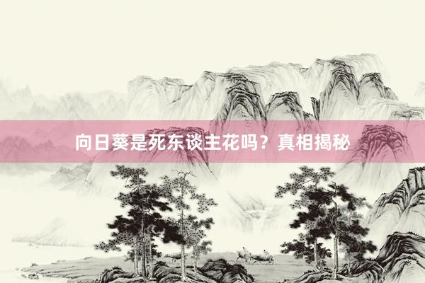 向日葵是死东谈主花吗？真相揭秘