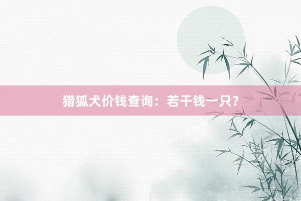 猎狐犬价钱查询：若干钱一只？